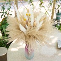 100PCS Rumput Pampas Kering Alami Buket Mengembang 175" Gaya Boho Dekorasi Rumah & Pesta Rangkaian Bunga Pernikahan