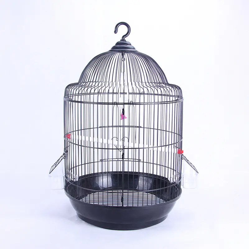 Haute qualité perroquet perle muguet myna personnalisé cages à oiseaux d'élevage pour vente cages