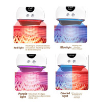 Appareil de Thérapie Bian Stone Tout-en-Un Chaleur Vibration Lumière Tricolore pour Massage Facial et Corporel et Traitement de la Peau