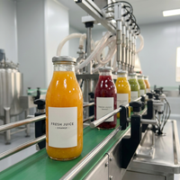 Système de remplissage automatique de bouteilles BRENU | Ligne d'embouteillage d'eau, de jus et d'alcool à grande vitesse