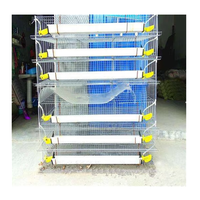 Cage de caille batterie cages de caille de Haute qualité de cage de caille automatique