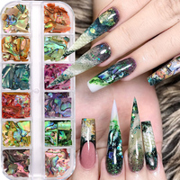 12 grilles de flocons de décoration pour ongles en coquille d'ormeau irréguliers, décorations de manucure DIY, mélange de décorations d'ongles irrégulières, breloques pour nail art
