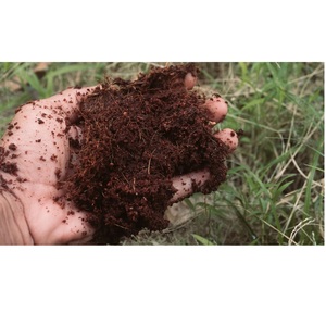 Best Selling Natural Coconut Coco <b>Peat</b> for Hydroponics Terrace Gardening and Nursery Applications Available At Export Price - Product Image 1