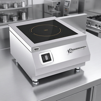 Table de cuisson à induction électrique commerciale en céramique concave plate 8000W, grande puissance, pour restaurant, plaque chauffante étanche