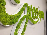200/boîte de mousse de renne naturelle stabilisée et préservée pour la décoration