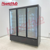 Congélateur vitrine avec logo personnalisé, 3 niveaux de vitres anti-buée, acier épaissi, refroidissement par air comprimé importé