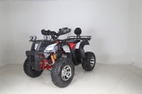 Quad Tao Motor 200cc 48V automatique, Tao Motor Bull 200 Quad ATV avec démarrage électrique EPA ECE, transmission par chaîne 2 roues motrices