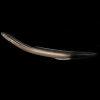 Leurre souple en silicone de 56g et 300mm, simulation de loche, leurre bionique grand format pour la pêche au saumon et aux poissons d'eau douce