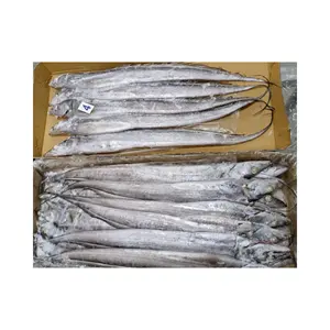 Frozen Ribbon Fish Of Good Quality And Good Price