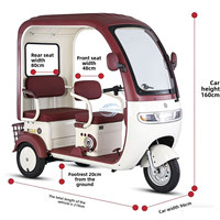 Tricycle électrique de loisirs à double usage passagers et marchandises, scooter à 3 roues à double rangée pour le transport d'adultes et d'enfants