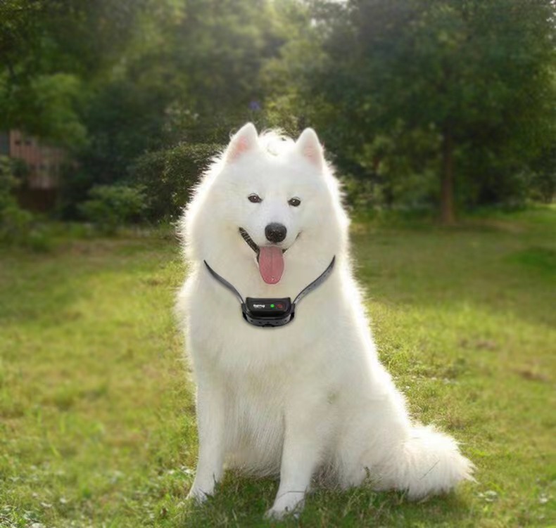 GPS Positioning Leather Pet Collar Leashes TPU Personalized