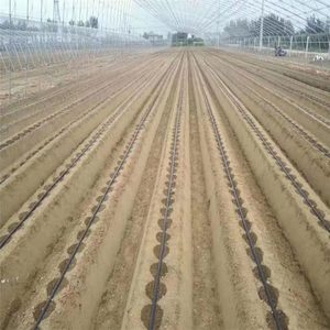 Cinta de goteo de 16 mm, negra, de polietileno, sistema de riego agrícola para invernaderos y cultivo de hortalizas - Product Image 1