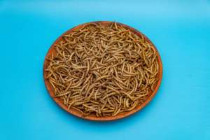 All'ingrosso aggiungere cibo per cani ad alto contenuto proteico e sgrassato in polvere snack per cani per trattare con cani - Product Image 2