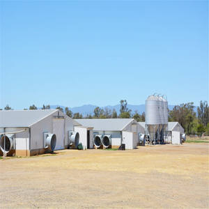 Bâtiment de ferme avicole moderne <span class=keywords><strong>en</strong></span> structure préfabriquée <span class=keywords><strong>en</strong></span> acier, conception d'atelier de ferme avicole, <span class=keywords><strong>construction</strong></span> de cadre <span class=keywords><strong>en</strong></span> acier bon marché à vendre - Product Image 3