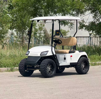 Voiturette de golf électrique 2 places pour la chasse et le golf en parc