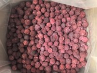 Premium Natuurlijk Gevriesdroogde Bayberry Zonder Toegevoegde Suiker Gezonde Gevriesdroogde Gehele Waxberry Fruit Snack