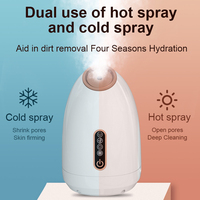 PULVERIZADOR facial profesional multifunción de alta frecuencia, vaporizador facial de aromaterapia nano vapozone