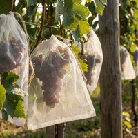 Filet anti-insectes en PE blanc pour la protection des cultures en serre et la culture de légumes, tailles personnalisées disponibles