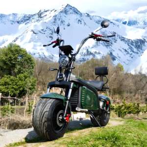 Patinete eléctrico con batería de litio, neumático grande de <span class=keywords><strong>tres</strong></span> <span class=keywords><strong>ruedas</strong></span>, Citycoco <span class=keywords><strong>Chopper</strong></span> Elektrikli, novedad - Product Image 6