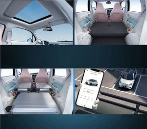 En stock – Voiture mini 4 places pour adultes – Leapmotor T03 – Mini-voiture électrique compacte à hayon – Offre spéciale – Véhicule familial polyvalent - Product Image 6