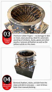 Meilleur prix pour une machine à plumer les poulets industrielle, pour usage domestique ou commercial - Product Image 6