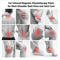 Patch Chauffant Infrarouge Lointain Longue Durée pour Soulagement de la Douleur au Cou, aux Épaules, à la Taille et aux Jambes – Vente en Gros OEM ODM