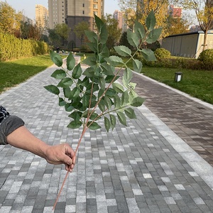 A-651 Lá Banyan Trắng Nhân Tạo Lá Cây Banyan Bằng Lụa Cành Liễu Giả Lá Banyan - Product Image 2