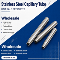Tube capillaire en acier inoxydable 316 304 316L sur mesure, options de polissage personnalisées pour instruments analytiques et sondes de capteur
