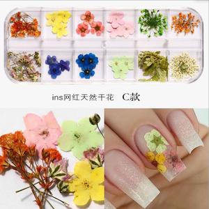 Autocollants professionnels fleurs séchées de bonne qualité, étiquette 3D, naturels, pour <span class=keywords><strong>Nail</strong></span> <span class=keywords><strong>art</strong></span>, 1 pièce - Product Image 3