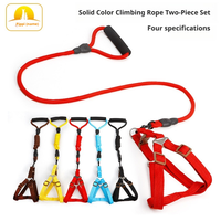 Laisse pour chien en nylon simple, durable et confortable de 120 cm, personnalisable en gros, pour la promenade des petits chiens