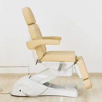 Cama Eléctrica de Lujo para Cosmética, Cama Eléctrica Ajustable para Salón de Belleza, Silla de Spa, Cama de Masaje para Salón de Belleza y Tatuajes