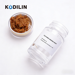 Kodilin PhytoMirror Tech 100g 13种稀有人参皂苷 无农药营养运动营养食品 新鲜人参侧生根 - Product Image 1