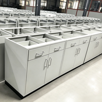 Table de laboratoire en acier à prix de gros avec plateau en résine époxy et armoire de rangement pour laboratoire de microbiologie
