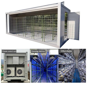 Conteneur de culture de champignons 20 pieds 40 pieds avec contrôle climatique intelligent pour la culture multi-champignons toute l'année - Product Image 2