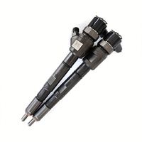 0445110647/ 0 445 110 647 Inyector de Combustible Common Rail de Alto Rendimiento, Piezas de Repuesto Probadas de Calidad Estable