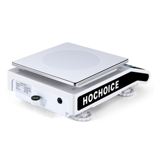 Bilancia digitale elettronica di carico superiore 5000g 0.01g con gancio - Product Image 2