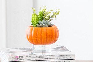 Commercio all'ingrosso diretto della fabbrica incredibile <span class=keywords><strong>zucca</strong></span> vaso bonsai casa decorazione di Halloween artificiale piante succulente per la vendita - Product Image 5
