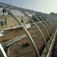 Structure en acier en forme de Z pour serre agricole