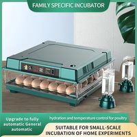 Incubateur à œufs automatique de petite taille entièrement automatique, capacité de 64 œufs, avec un taux d'éclosion élevé pour les poulets