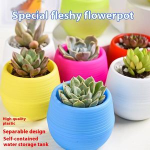 Mini-pots de fleurs et de plantes ronds en plastique colorés et créatifs pour la décoration de jardin, maison et bureau, idéaux pour sacs de culture - Product Image 4