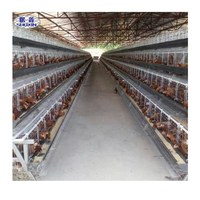 Cage à poules de meilleure qualité, galvanisée à froid, couche vivante d'oiseaux, poules dans un poulailler, élever 1000 poulets avec abreuvoir à mamelon