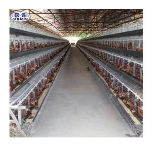 Gabbia di pollo per galline a strati vivi con zincatura a freddo di migliore qualità in pollaio sollevare 1000 polli con abbeveratoio per capezzoli - Product Image 2
