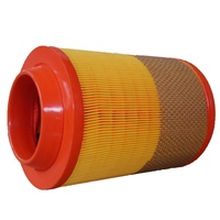 Filtres à air de couleur de moteur de camion C271250 AF25894 81083030052 986626761 P782936 CA9654 LAF6936 C271250 C271250/1 81084050016