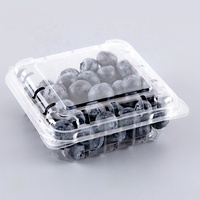 125g 250g 500g emballage de fruits en plastique boîte fruits baie framboise fraise myrtille conteneur à clapet avec trous