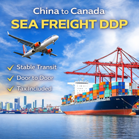 Agente de Carga Profesional de China a Canadá, Transporte Marítimo Puerta a Puerta con LCL+Express, 30-45 Días de Tránsito y Seguro