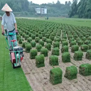 Macchina portatile della taglierina della zolla di prezzo della tagliatrice dell'erba della taglierina della zolla del tappeto erboso della fonte di alimentazione del Gas del giardino