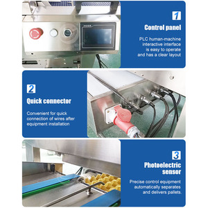 ORME Máquina empacadora clasificadora de huevos Máquina automática de paquete de huevos de papel Pulg Máquina de paquete de huevos de pato - Product Image 4