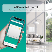 Interruptor de Pared Táctil Inteligente WiFi RF433 Hz con Control Remoto, Compatible con Alexa, Función de Temporizador, Botón Pulsador de 2 Vías