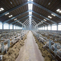 Estructura de acero para ganado, granja de ovejas, cobertizo de cabra/ganado, construcción de cobertizo, 2022