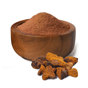 Органический экстракт гриба чаги, цена, порошок экстракта гриба чаги - Product Image 4